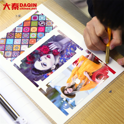 Daqin Custom Die Cut Vinyl Stickers Machine Beauty Master Software per il taglio