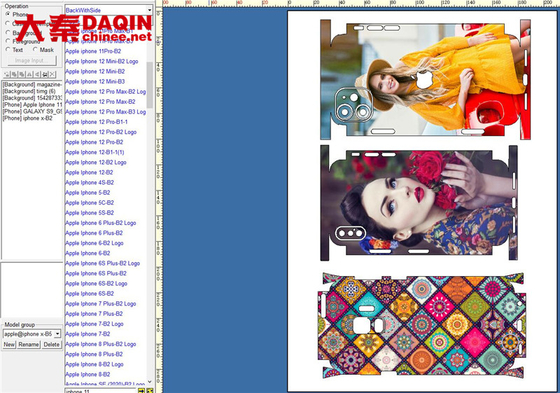 Daqin Custom Die Cut Vinyl Stickers Machine Beauty Master Software per il taglio