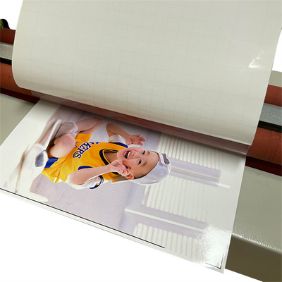 Gli autoadesivi di Elitebook di cavalli vapore di Dell Laptop Skin Cutting Machine progettano gli involucri di programma
