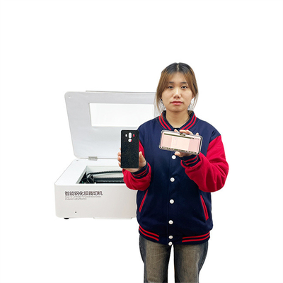 Macchina per taglio laser per il taglio di vetro acrilico/cuoio/plastica/nano temperato